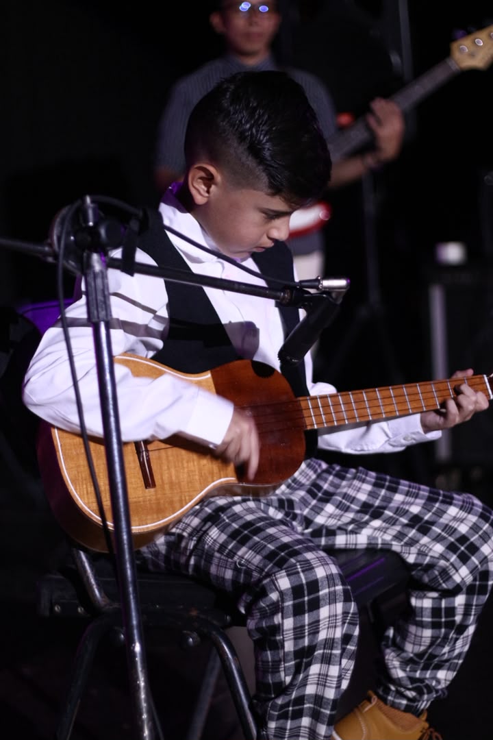 Instrumento musical de cuerda
